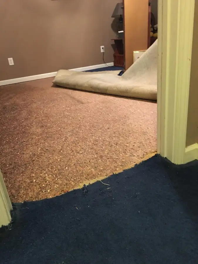 Carpet pad removal revealing water damage during Drying & Dehumidification in Davie