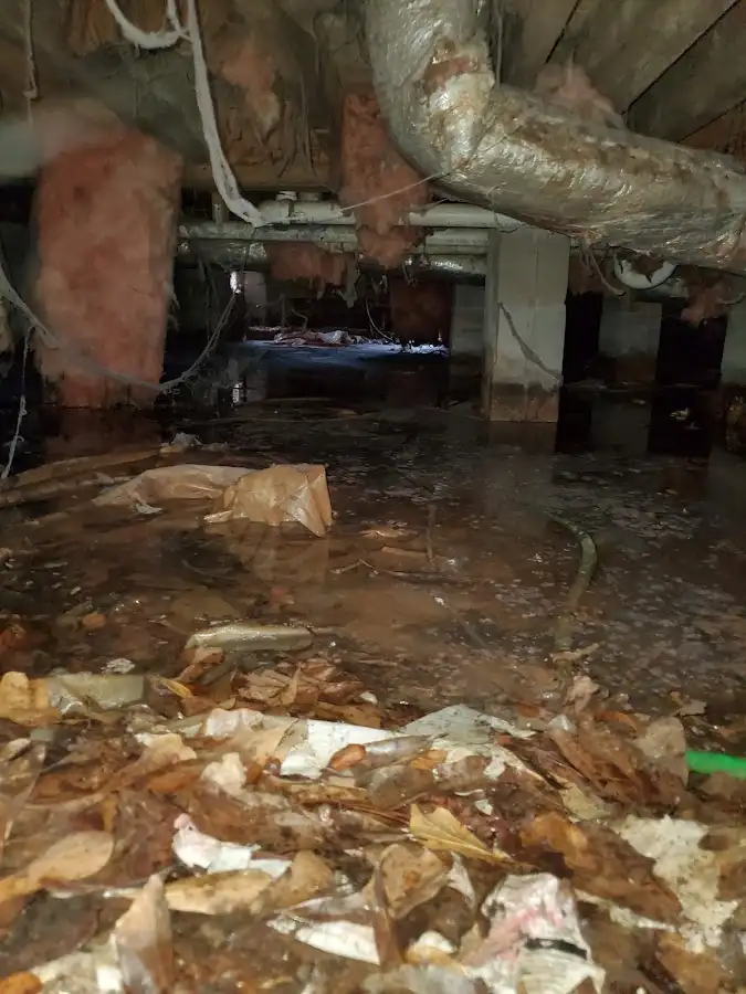 Crawl space flood assessment for Leak Detection & Repair in Davie